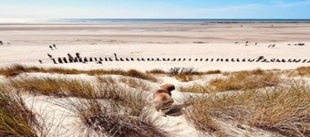 Maison de vacances spacieuse avec jardin