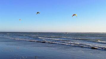 Une plage où de nombreux cerfs-volants s’élèvent dans le ciel.