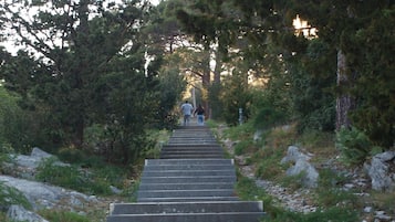 Overnatningsstedets område