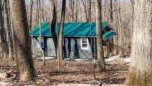 Exterior - Mountain Retreat: Virginia Foothills (Charlottesville)