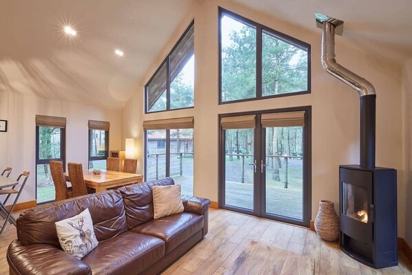 TV, fireplace, offices