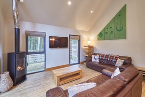 TV, fireplace, offices - Host & Stay | Simon Howe Lodge (Egton)