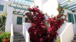 A white building with a staircase and a pergola with red flowers. - Skyros Seaside Retreat - Serenity & Luxury Getaway (Molos)