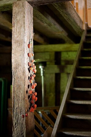 Unclassified image, 2 of 44, button