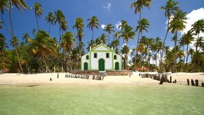 Unclassified image, 5 of 23, button - Carneiros Slin Beach (Tamandaré)