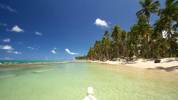 Unclassified image, 1 of 23, button - Carneiros Slin Beach (Tamandaré)