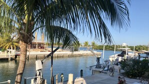 A marina with boats docked, a concrete dock, and a palm tree.