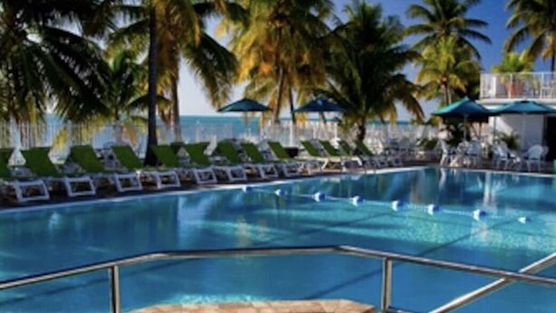 A swimming pool with lounge chairs and palm trees in the background.