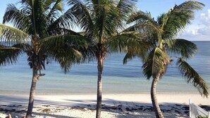 A beach with three palm trees and a clear view of the ocean.