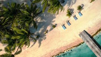 An aerial view of a beach with palm trees, a wooden pier, and striped lounge chairs.