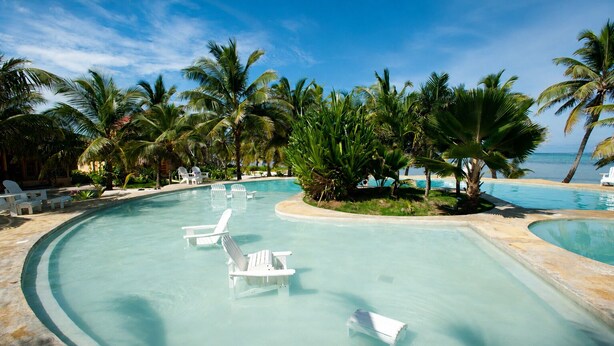 Una piscina con sillas blancas, palmeras y vistas al océano.