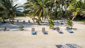 Una playa con tumbonas y palmeras.