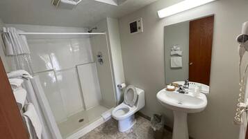 A bathroom with a glass-enclosed shower, a toilet, a sink, and a hairdryer.
