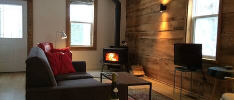 Televisión y chimenea