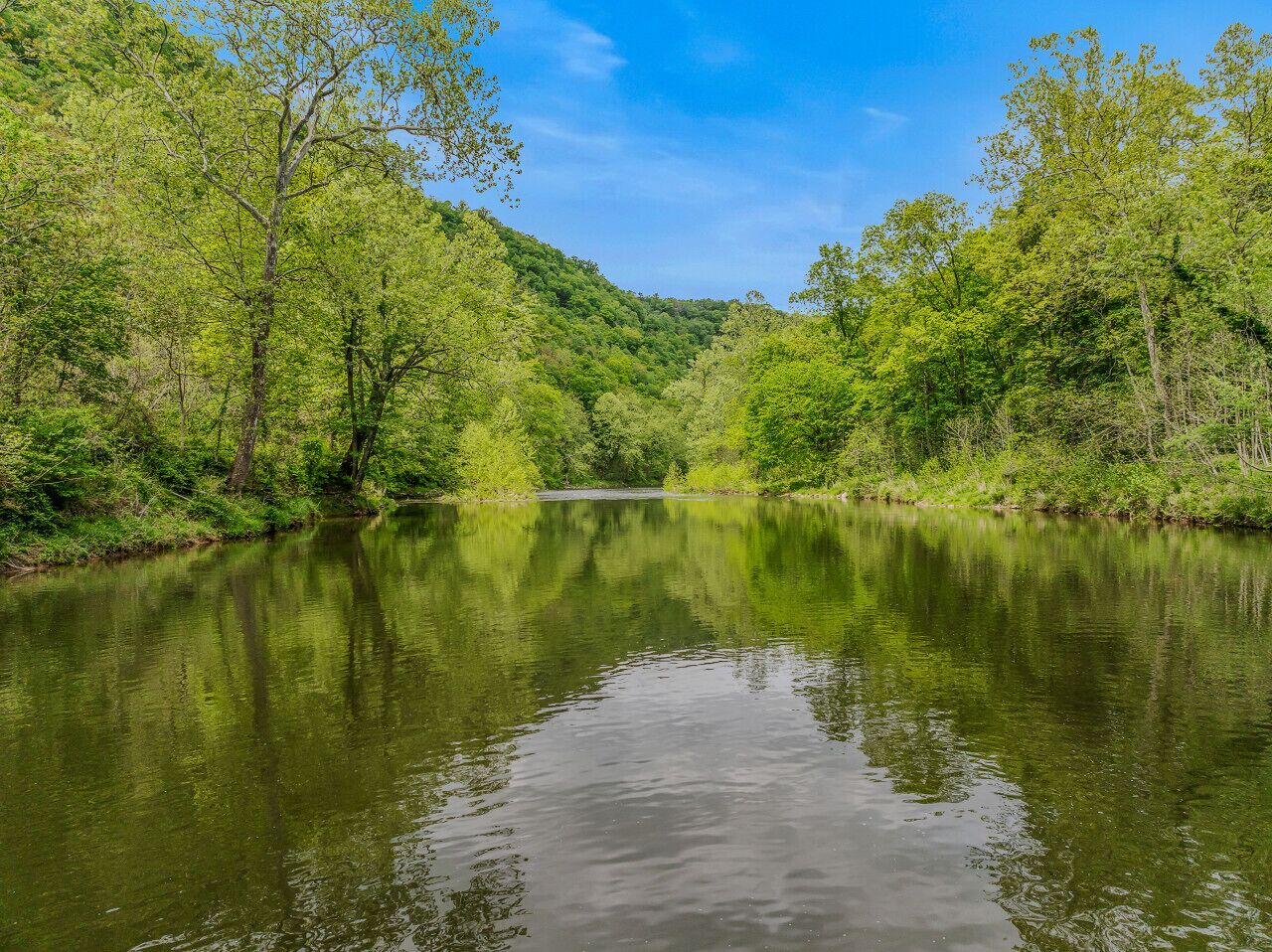Une rivière paisible, bordée d’une végétation luxuriante et entourée de collines.