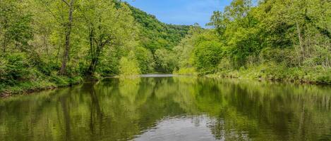 Une rivière paisible, bordée d’une végétation luxuriante et entourée de collines.