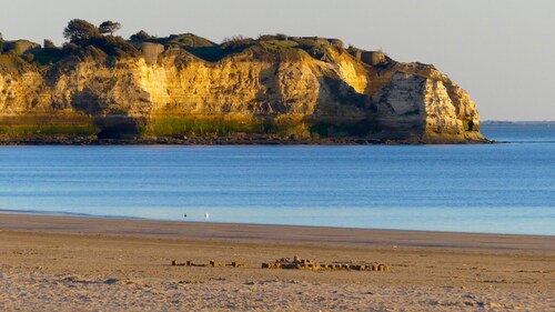 Bel appartement 4 personnes face à la plage vue mer