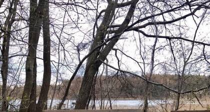 FeWo "Auszeit am See" - Im Naturpark Mecklenburgische Schweiz, direkt am See.