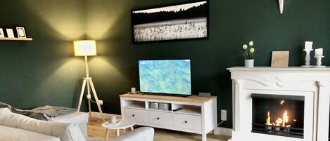 Smart TV, fireplace, books