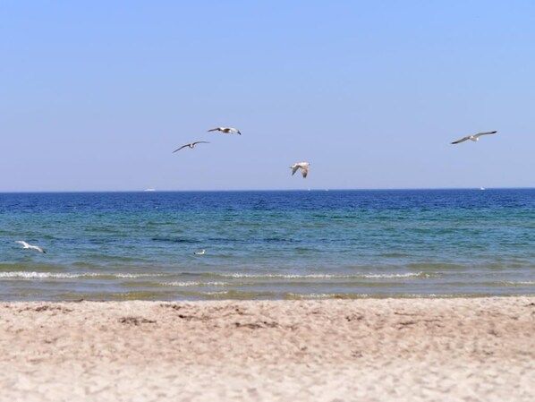 In Strandnähe