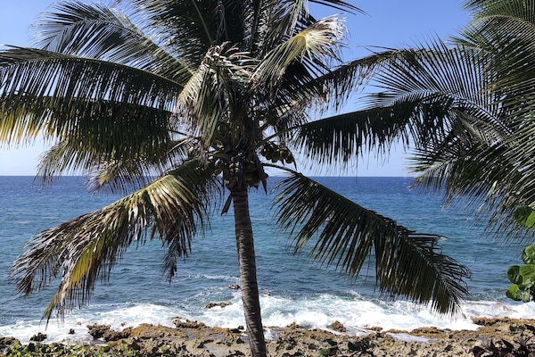 View from your patio !
Direct on the Caribbean Sea