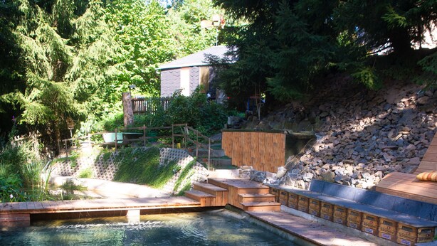 A clear pool with wooden steps leading into it, surrounded by greenery and a stone wall.