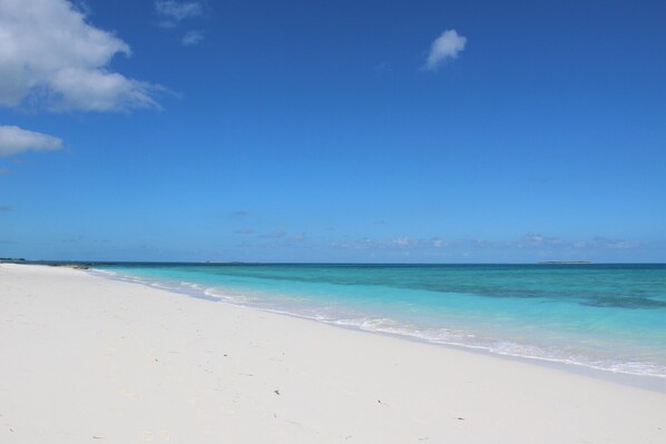 On the beach