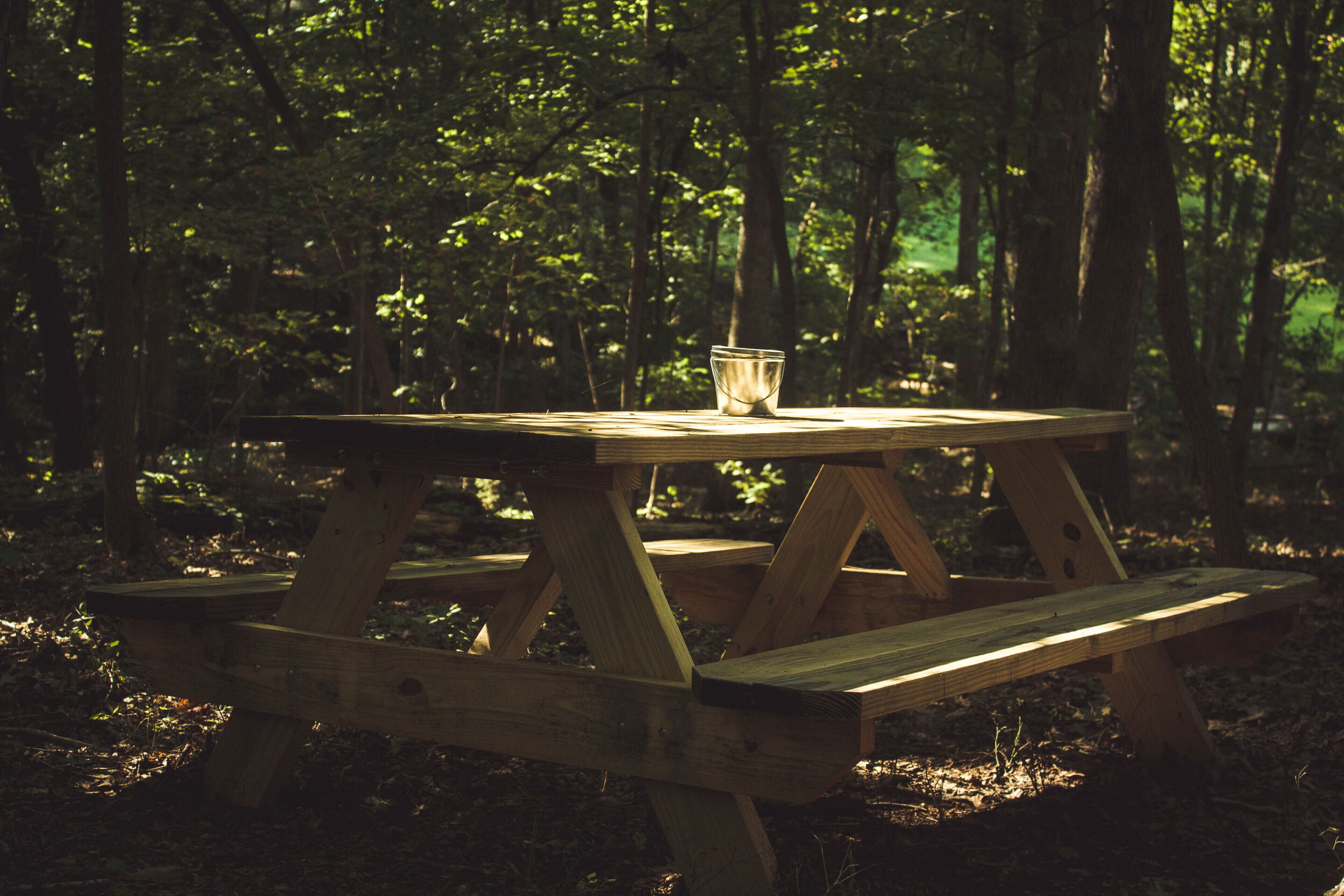 Spirit Lodge ~ Upscale Camping in Authentic Tipi in Lynchburg, United States