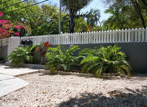 A garden with palm trees and a white picket fence. - Quiet Conch House in Historic District (Key West)