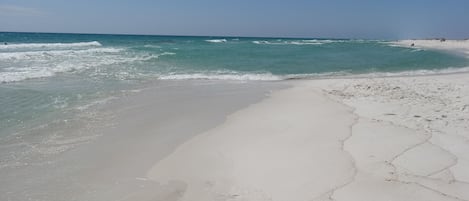 بالقرب من الشاطئ