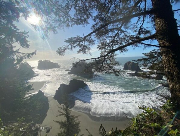 Experience the rugged shoreline and serene forest atmosphere.