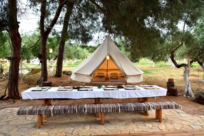 A tent set up in a natural setting with a table and benches in front, surrounded by trees.