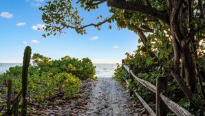 Un sentier sablonneux menant à une plage, bordé de verdure et délimité par une clôture en bois.