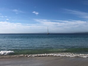 在海灘附近、躺椅