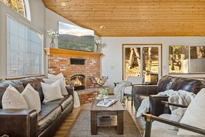 TV, fireplace, video games, Netflix