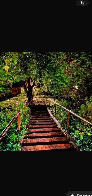 Ferienhaus | Unterkunftsgelände