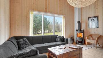 Télévision, cheminée, lecteur de DVD