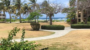 A resort with a paved pathway, palm trees, and a view of the ocean.