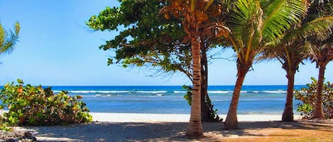 Beach nearby, sun loungers, beach towels