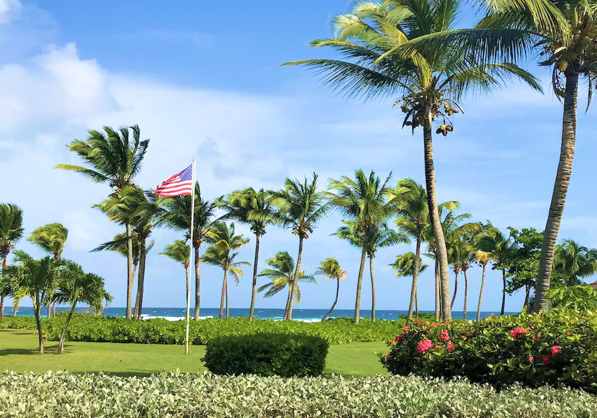 Tropisch landschap met palmbomen, een vlag en uitzicht op de oceaan.