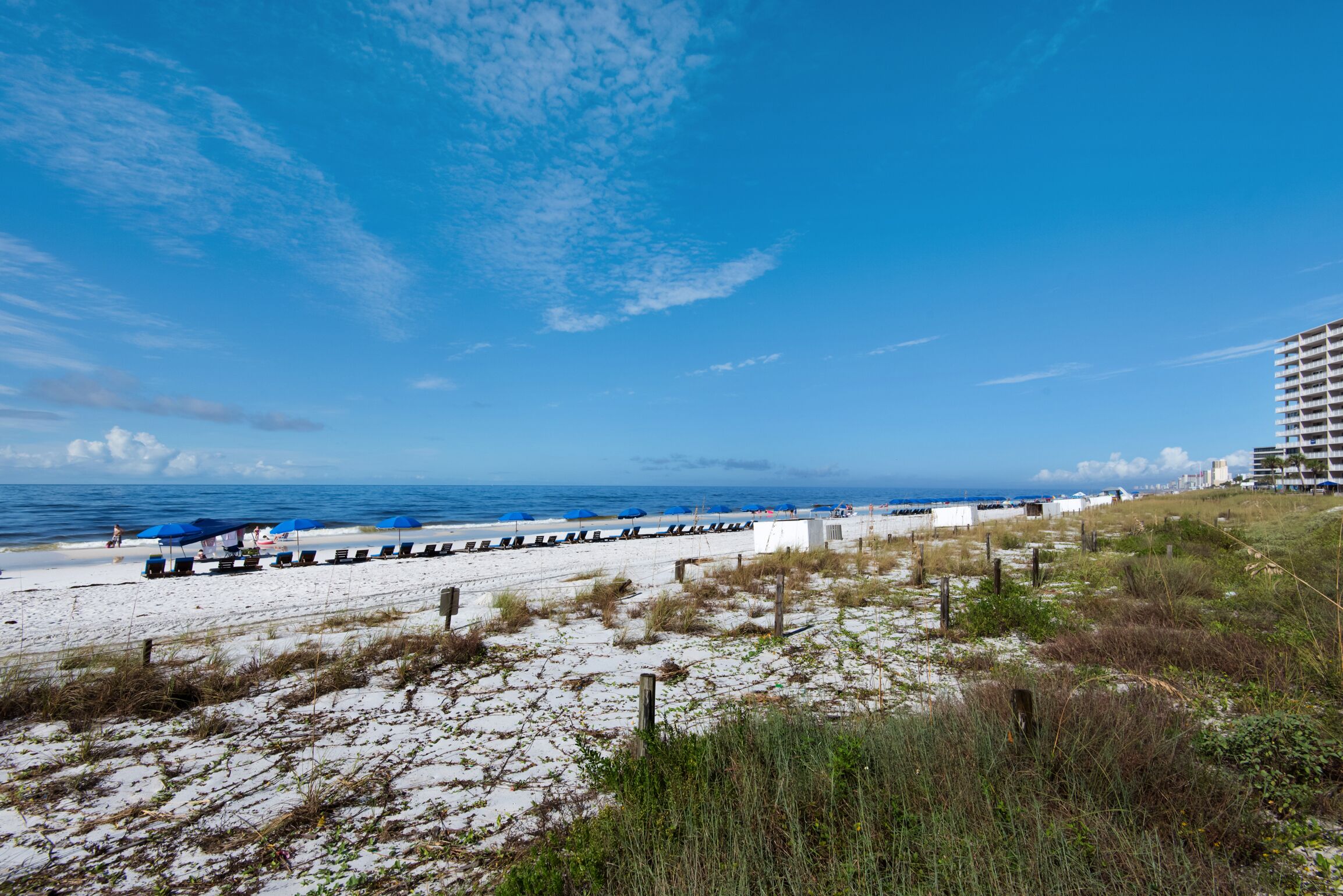 Una playa con una fila de sombrillas azules, un sendero arenoso y un edificio al fondo.