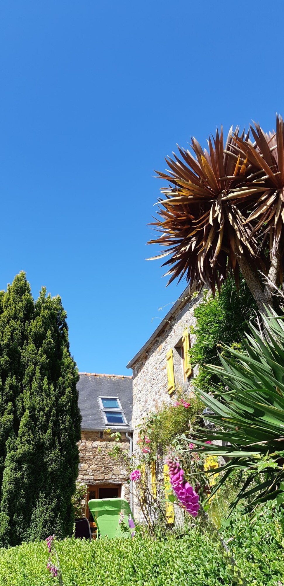 Image de profil de l’hôte