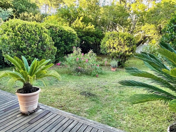 Un jardín con diversas plantas y una terraza de madera.