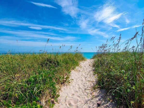 Beach nearby, sun-loungers, beach towels