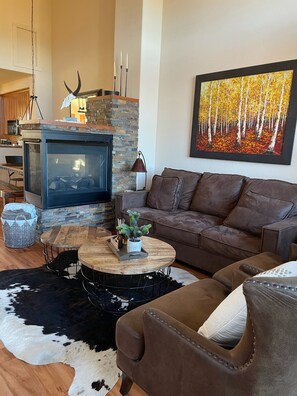 TV, fireplace, stereo, printers