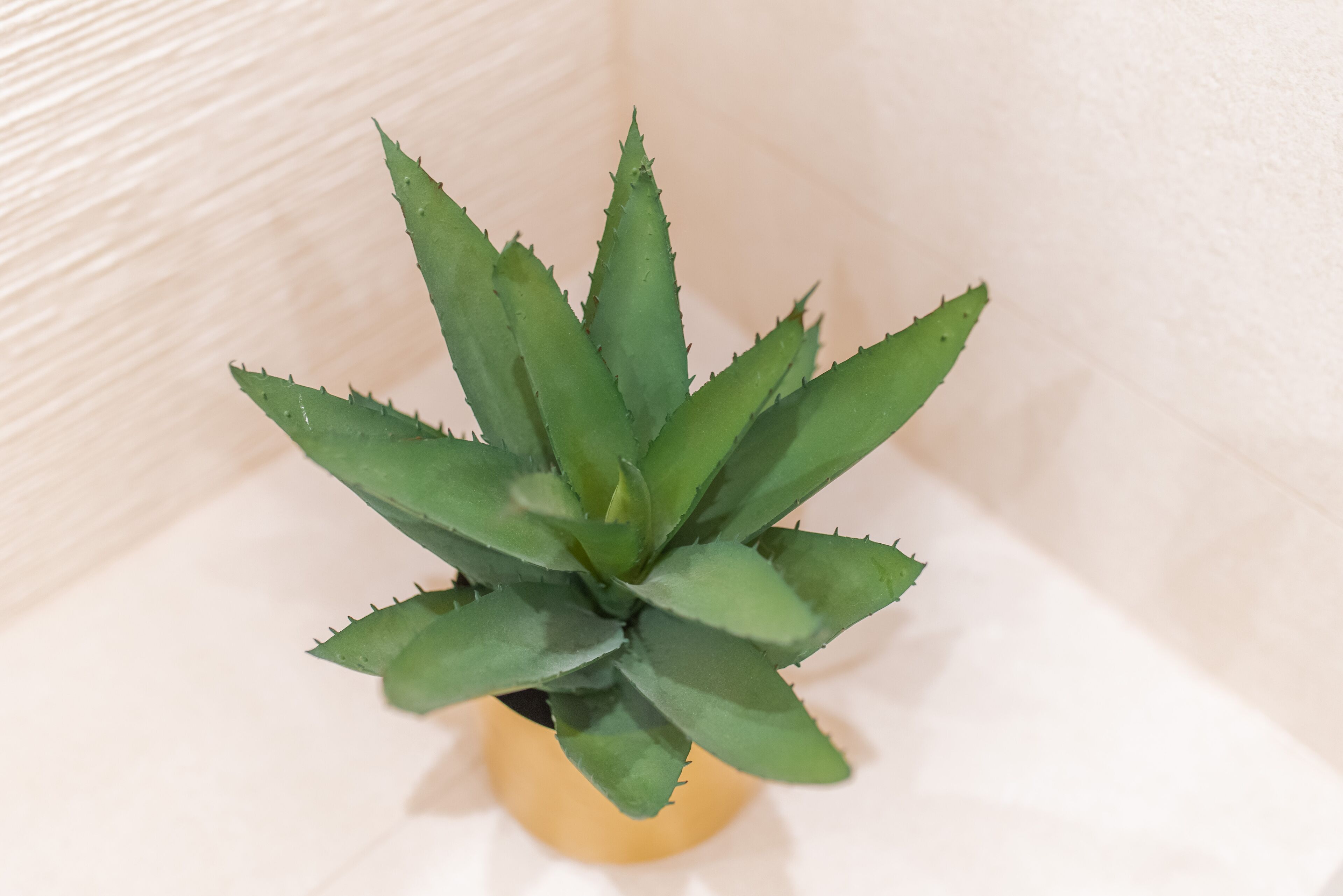 Photo - Samstag Split