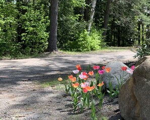 Property grounds - Deer Run, Gore Mountain, pool, steps from Loon Lake (Chestertown)