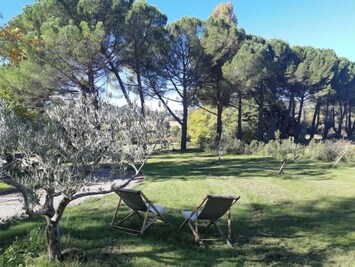 le jardin