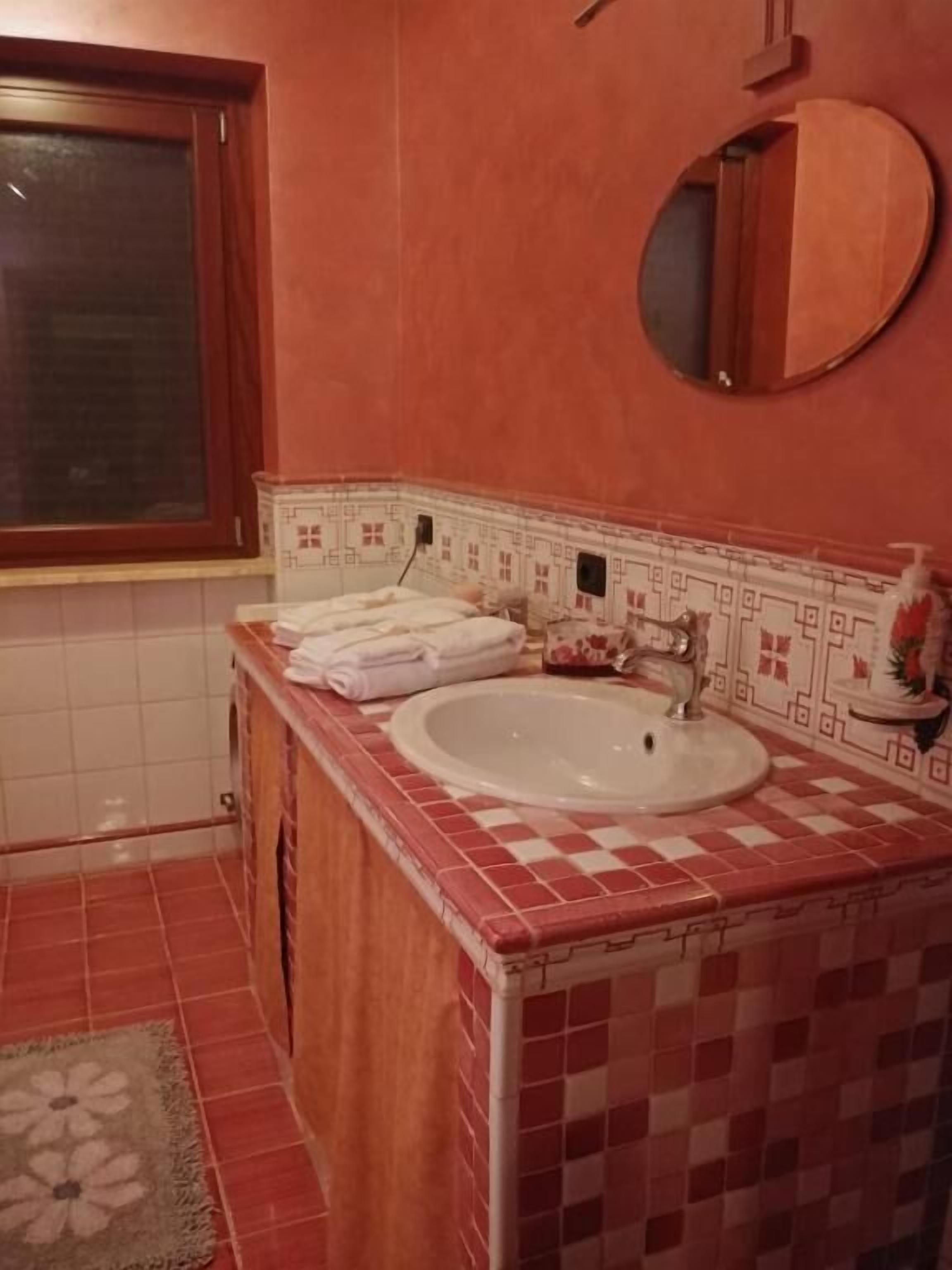 Un baño con lavamanos, espejo y azulejos estampados.