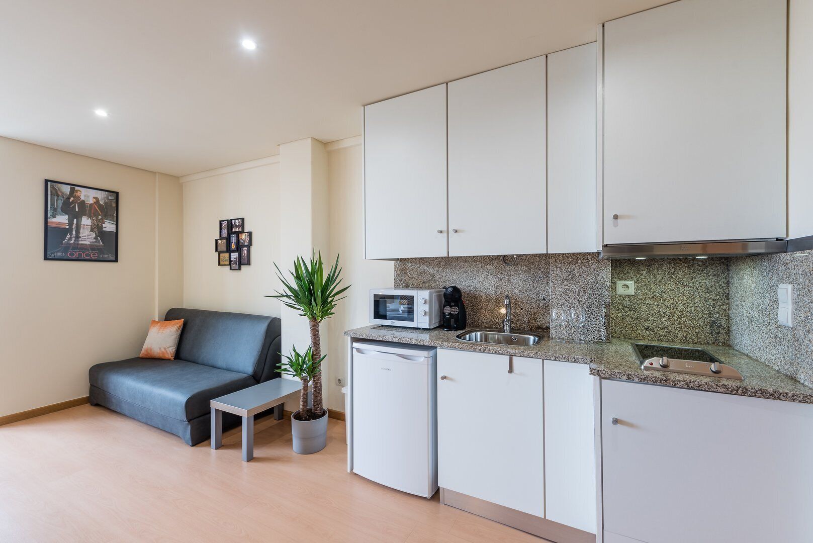A compact living space with a kitchenette, a grey sofa, a small table, and a potted plant.
